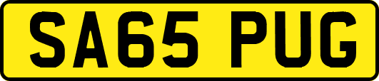 SA65PUG