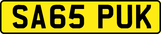 SA65PUK