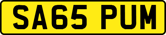 SA65PUM
