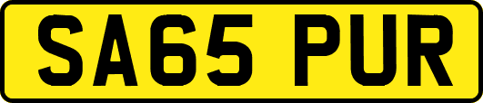 SA65PUR