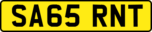 SA65RNT