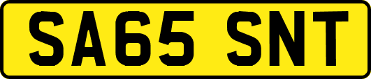 SA65SNT