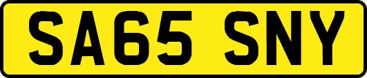 SA65SNY