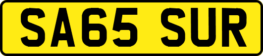 SA65SUR