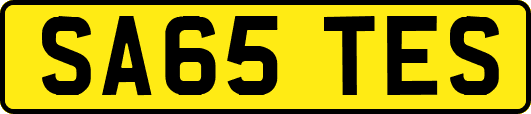 SA65TES
