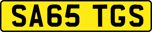 SA65TGS