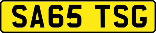 SA65TSG