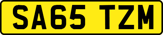 SA65TZM