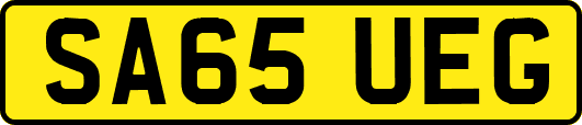 SA65UEG