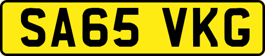 SA65VKG