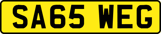 SA65WEG