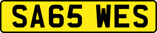 SA65WES