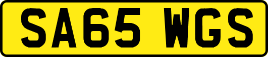 SA65WGS