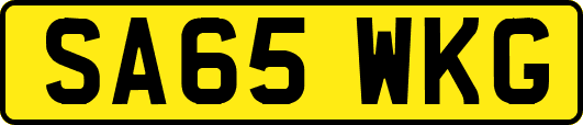 SA65WKG