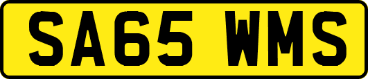 SA65WMS