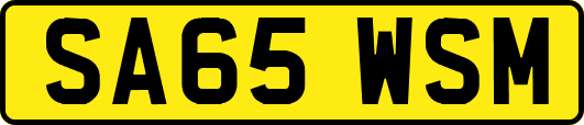 SA65WSM