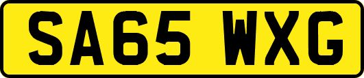 SA65WXG