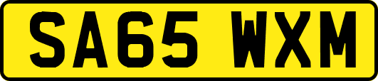 SA65WXM