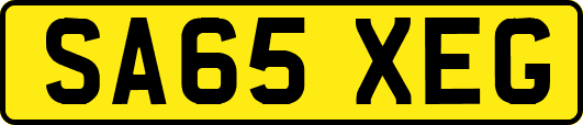 SA65XEG