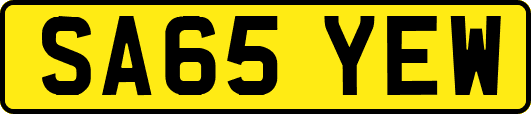 SA65YEW