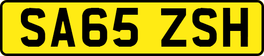 SA65ZSH