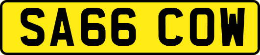 SA66COW