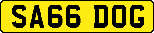 SA66DOG