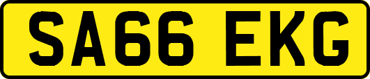 SA66EKG