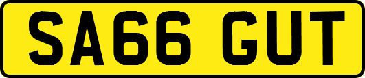 SA66GUT