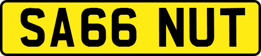 SA66NUT