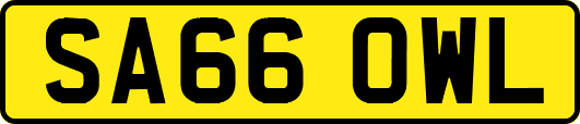 SA66OWL
