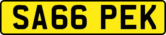 SA66PEK