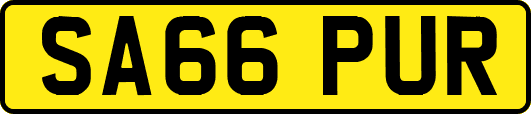 SA66PUR