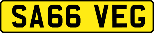 SA66VEG