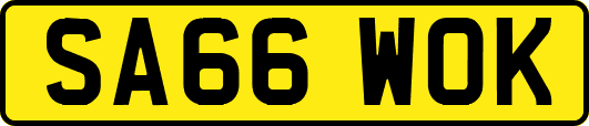 SA66WOK
