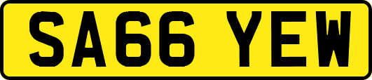 SA66YEW