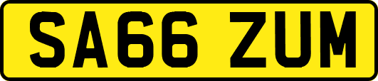 SA66ZUM