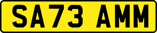 SA73AMM