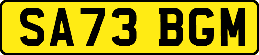 SA73BGM