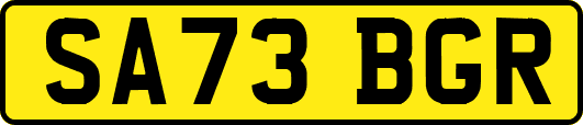 SA73BGR