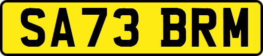 SA73BRM