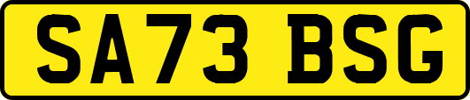 SA73BSG