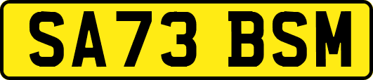 SA73BSM