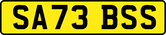 SA73BSS