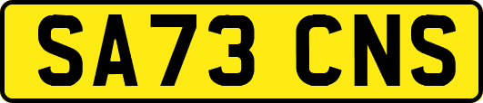 SA73CNS