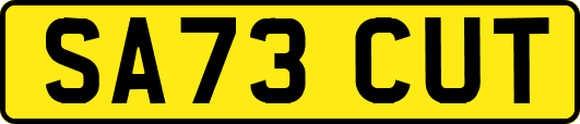 SA73CUT