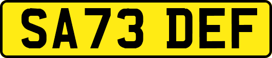 SA73DEF