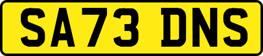 SA73DNS