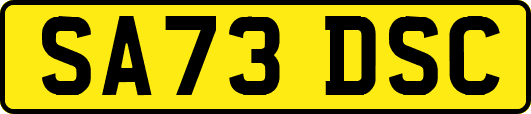 SA73DSC