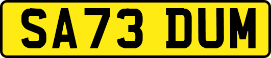 SA73DUM